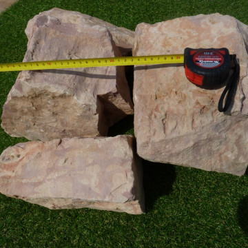 Бут розовый