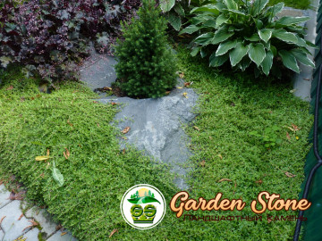 28 елка в отверстии