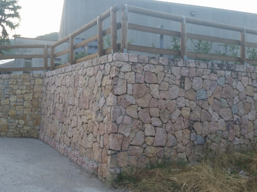 20150809_192026-800x450