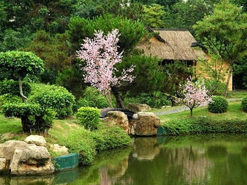 68845791_1294319842_30