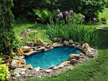 shutterstock_57479839-1024x681